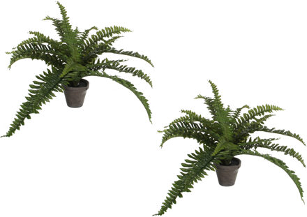 Mica Decorations Boston Varen kunstplant/kamerplant - 2x stuks - groen - in pot - H35 cm x D45 cm