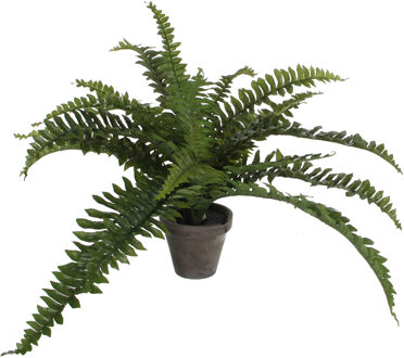 Mica Decorations Boston Varen kunstplant/kamerplant - groen - in pot - H35 cm x D45 cm