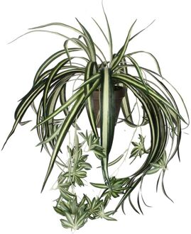 Mica Decorations Chlorophytum Kunstplant 45 cm Groen