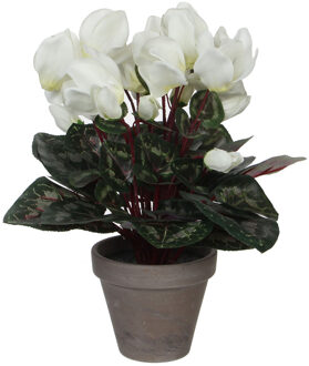 Mica Decorations cyclamen wit in pot stan grijs (dia 11) maat in cm: