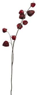 Mica Decorations Decoratietak Lampionplant 94 Cm Rood