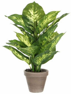 Mica Decorations Dieffenbachia Kunstplant - H40 x Ø30 cm - Groen