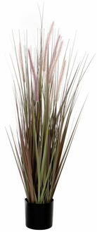 Mica Decorations dogtail gras paars in plastic pot d15 maat in cm: 120