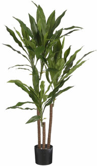 Mica Decorations dracaena h100 groen in pot