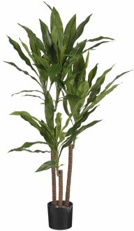 Mica Decorations dracaena h100 groen in pot