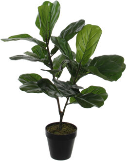 Mica Decorations Ficus Lyrata Kunstplant - H75 x Ø00 cm - Groen