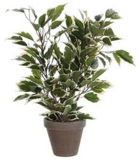 Mica Decorations Ficus Natasja Kunstplant - H40 cm - Groen Bont