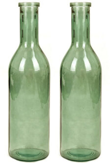 Mica Decorations Flesvaas groot - Set van 2x stuks - Rioja - groen - eco glas - 18 x 75 cm