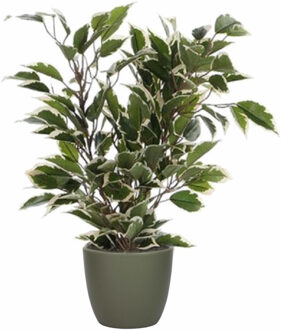 Mica Decorations Groen/witte ficus kunstplant 40 cm met plantenpot dennengroen D13.5 en H12.5 cm