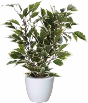 Mica Decorations Groen/witte ficus kunstplant 40 cm met plantenpot glanzend wit D13.5 en H12.5 cm - Kunstplanten