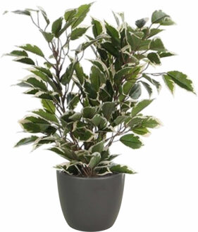 Mica Decorations Groen/witte ficus kunstplant 40 cm met plantenpot mat antraciet grijs D13.5 en H12.5 cm - Kunstplanten