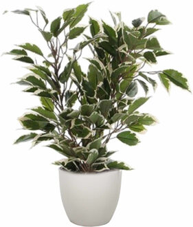 Mica Decorations Groen/witte ficus kunstplant 40 cm met plantenpot taupe D13.5 en H12.5 cm - Kunstplanten Beige