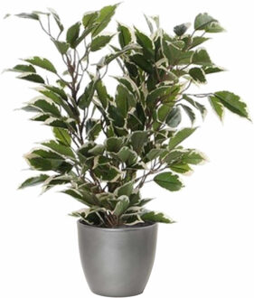 Mica Decorations Groen/witte ficus kunstplant 40 cm met plantenpot zilver metallic D13.5 en H12.5 cm - Kunstplanten Zilverkleurig