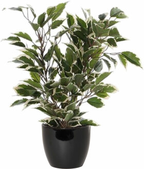 Mica Decorations Groen/witte ficus kunstplant 40 cm met plantenpot zwart D13.5 en H12.5 cm - Kunstplanten