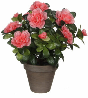 Mica Decorations Groene Azalea kunstplant met perzikkleurige bloemen 27 cm met pot stan grey - Kunstplanten Oranje