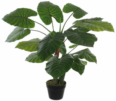 Mica Decorations Groene Colocasia Taro kunstplant in zwarte pot 60 cm