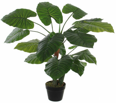 Mica Decorations Groene Colocasia Taro kunstplant in zwarte pot 90 cm