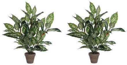 Mica Decorations groene Dieffenbachia kunstplant - 2x - 70 cm - in pot - Kunstplanten/nepplanten