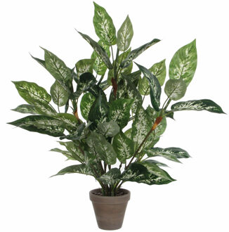 Mica Decorations groene Dieffenbachia kunstplant - 70 cm - in pot - Kunstplanten/nepplanten