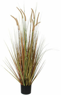 Mica Decorations Groene Dogtail/siergras/pluimgras kunstplant 92 cm in zwarte pot