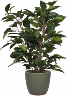 Mica Decorations Groene ficus kunstplant 40 cm met plantenpot dennengroen D13.5 en H12.5 cm - Kunstplanten