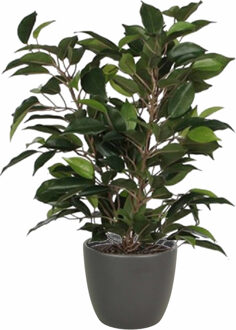 Mica Decorations Groene ficus kunstplant 40 cm met plantenpot mat antraciet grijs D13.5 en H12.5 cm