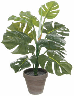 Mica Decorations Groene Monstera/gatenplant kunstplant 48 cm in grijze pot