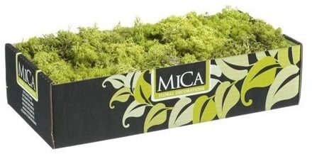 Mica Decorations Hobby natuurlijk mos lichtgroen 500 gram