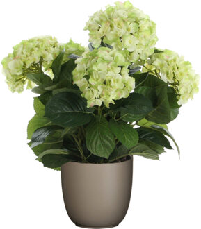 Mica Decorations Hortensia kunstplant/kunstbloemen 45 cm - groen - in pot taupe mat