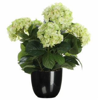 Mica Decorations Hortensia kunstplant/kunstbloemen 45 cm - groen - in pot zwart glans - Kunstplanten