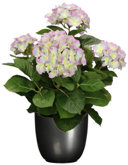 Mica Decorations Hortensia kunstplant/kunstbloemen 45 cm - paars/groen - in pot titanium grijs glans - Kunstplanten