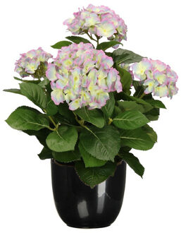 Mica Decorations Hortensia kunstplant/kunstbloemen 45 cm - paars/groen - in pot zwart glans - Kunstplanten