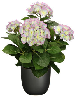 Mica Decorations Hortensia kunstplant/kunstbloemen 45 cm - paars/groen - in pot zwart mat - Kunstplanten