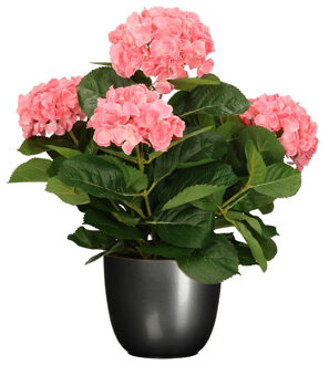 Mica Decorations Hortensia kunstplant/kunstbloemen 45 cm - roze - in pot titanium grijs glans - Kunstplanten