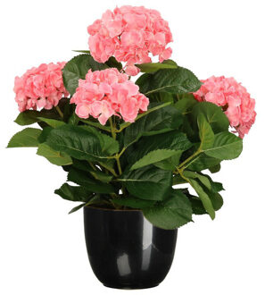 Mica Decorations Hortensia kunstplant/kunstbloemen 45 cm - roze - in pot zwart glans - Kunstplanten