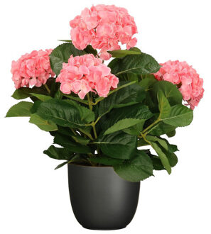 Mica Decorations Hortensia kunstplant/kunstbloemen 45 cm - roze - in pot zwart mat