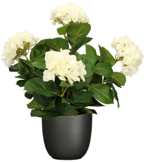 Mica Decorations Hortensia kunstplant/kunstbloemen 45 cm - wit - in pot zwart mat - Kunstplanten