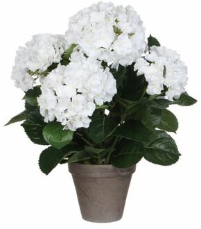 Mica Decorations hortensia wit in pot stan grijs d13,5 maat in cm: 45