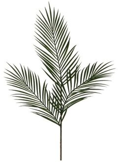 Mica Decorations Kunstblad - aerca goudpalm - tak - 95 cm - kunsttak