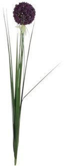 Mica Decorations Kunstbloem - allium bol - paars - 80 cm - Kunstbloemen