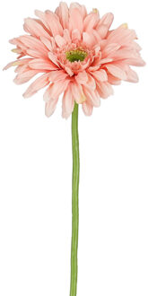 Mica Decorations Kunstbloem Gerbera Floral - H60 cm - roze