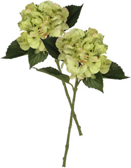 Mica Decorations Kunstbloem Hortensia tak - 2x - groen - 51 cm - losse steel - Kunst zijdebloemen