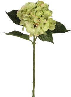 Mica Decorations Kunstbloem Hortensia tak - groen - 51 cm - losse steel - Kunst zijdebloemen - Kunstbloemen