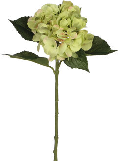 Mica Decorations Kunstbloem - Hortensia tak - groen - 51 cm - losse steel - Kunst zijdebloemen