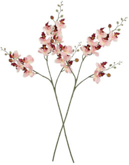 Mica Decorations Kunstbloem Orchidee tak - 2x - lichtroze - 75 cm - Kunst zijdebloemen - siertakken
