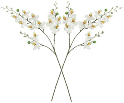 Mica Decorations Kunstbloem Orchidee tak - 2x - wit - 75 cm - Kunst zijdebloemen