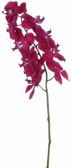 Mica Decorations Kunstbloem Orchidee tak - diep roze - 71 cm - losse steel - Kunst zijdebloemen
