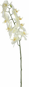 Mica Decorations Kunstbloem Orchidee tak - wit - 71 cm - Kunst zijdebloemen - Kunstbloemen