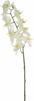 Mica Decorations Kunstbloem Orchidee tak - wit - 71 cm - losse steel - Kunst zijdebloemen