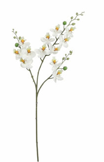 Mica Decorations Kunstbloem Orchidee tak - wit - 75 cm - Kunst zijdebloemen - Kunstbloemen